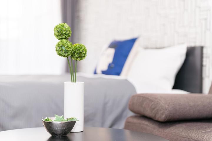 bedside green plants