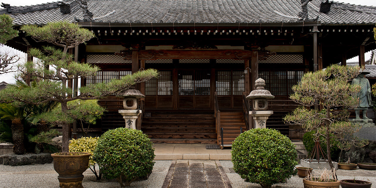 Meet the authentic gastronomies in Nara.